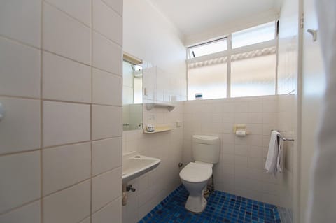 Twin Room | Bathroom | Shower, free toiletries, hair dryer, towels