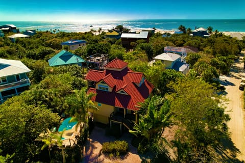 Welcome to the Salty Conch