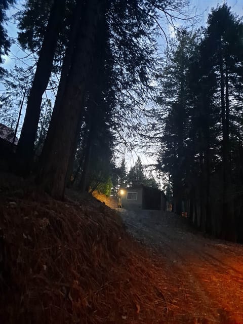 Private Home, Alta CA.  Very Peaceful Comfortable home