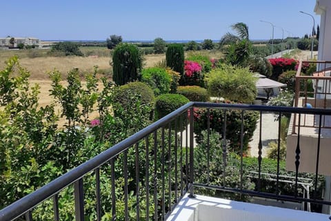 House | Property grounds