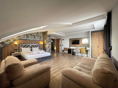 Deluxe Studio Suite | Living area