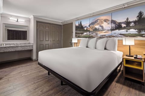 Deluxe Room, 1 King Bed, Non Smoking | Individually furnished, desk, iron/ironing board, rollaway beds