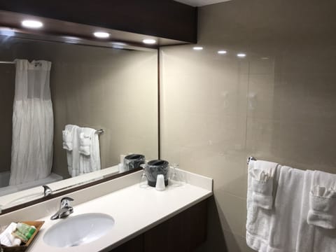 Eco-friendly toiletries, hair dryer, towels