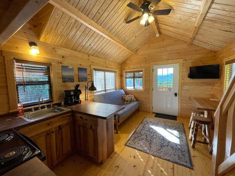 Kitchen and Living Room - Full kitchen and living room with 1 futon