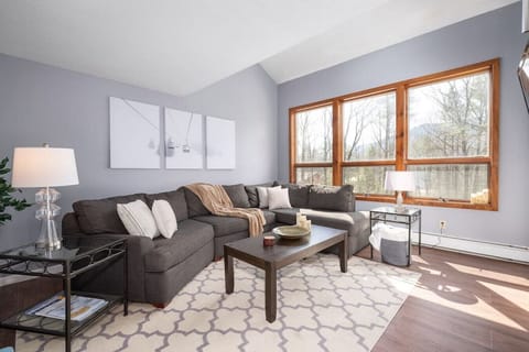 Living Room with Comfortable sofa. Extra blankets provided for those chilly winter nights.