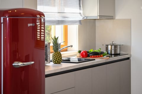 Grand Apartment, 1 Bedroom, Courtyard View | Private kitchen | Fridge, microwave, stovetop, dishwasher