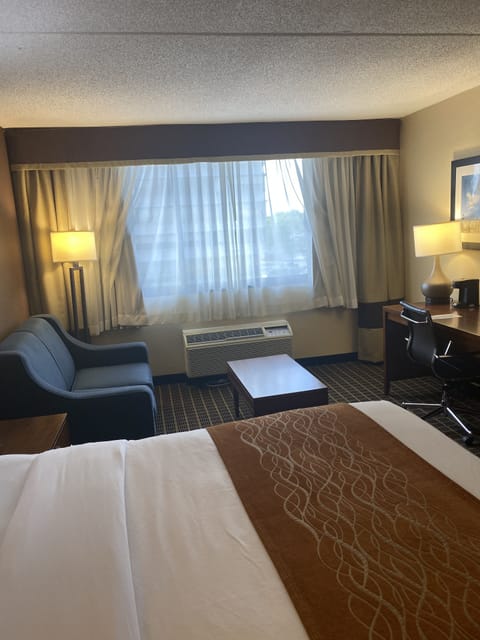 Standard Room, 1 King Bed, Non Smoking | In-room safe, desk, iron/ironing board, cribs (free)