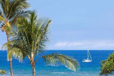 More ocean views