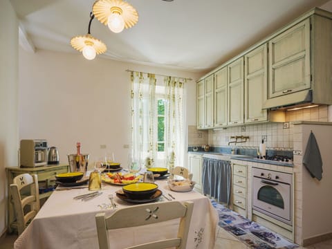 Plant, Sky, Road Surface, Asphalt, Land Lot, Tree, Arecales, Natural Landscape, Thoroughfare, Landscape