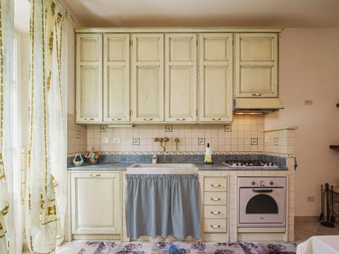 Plant, Sky, Road Surface, Asphalt, Land Lot, Tree, Arecales, Natural Landscape, Thoroughfare, Landscape