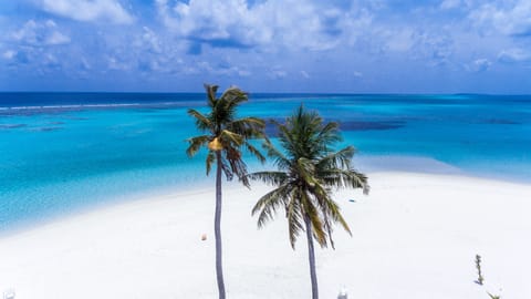 On the beach, snorkeling, fishing
