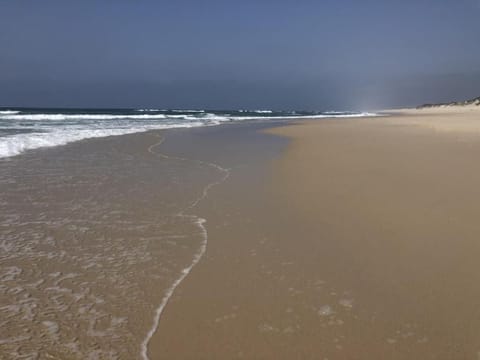 Beach umbrellas