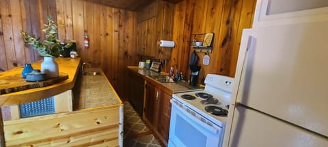 Stove, Refrigerator, Coffee Maker, Microwave, Pizza Maker 