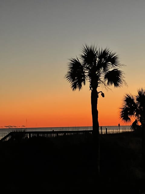 View from the deck…
