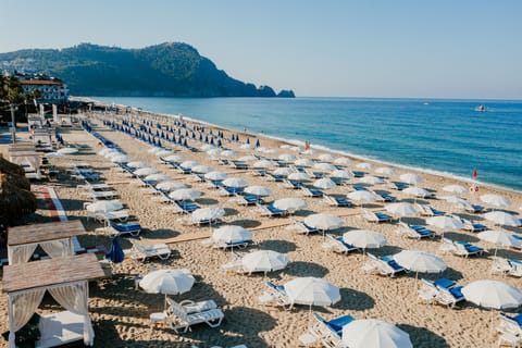 Sun loungers, beach umbrellas