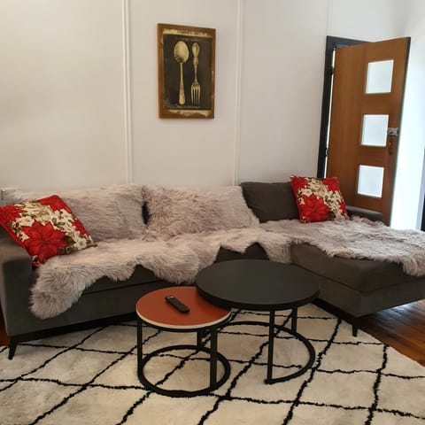 lounge room couch turns into a queen bed if required 