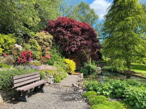 Setting | Forge Mill Cottage, Dalbeattie