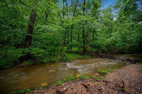 Seasonal creek running behind the cabin