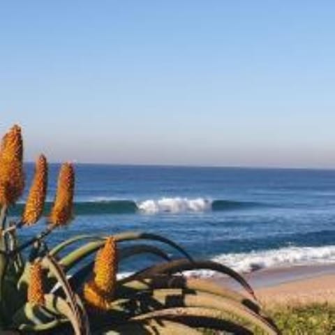 Beach nearby, beach towels