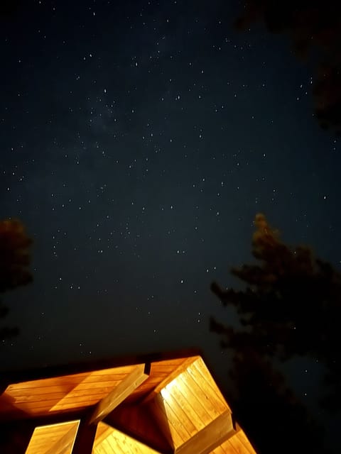 ...yet out gaze drifts upwards again, before the sleepy denizens bid goodnight.