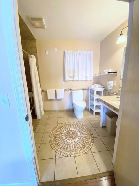 Standard Room, 1 Queen Bed, Mobility Accessible, Non Smoking | Bathroom | Free toiletries, hair dryer, towels, soap