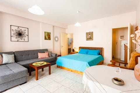 Panoramic View of the Interior – Bright and open studio layout combining living, dining, and sleeping spaces.