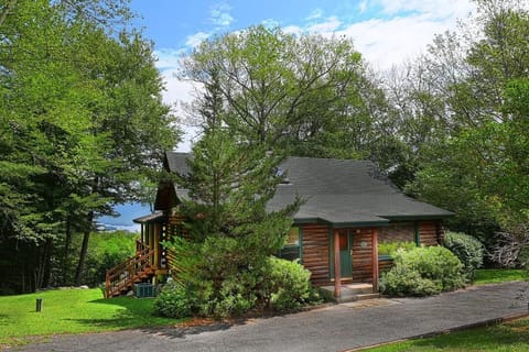 Peaceful Moose in a Summer peaceful mood !