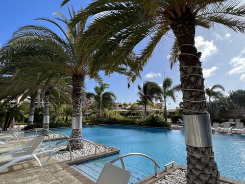 Gorgeous palm trees, plenty of lounge seats at this inviting pool area.