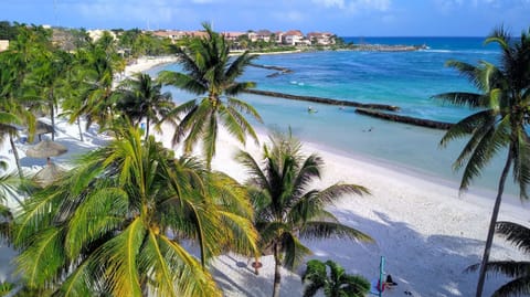 The view and the beach!