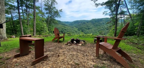 Back Yard Fire Pit and Park Style Charcoal Grill