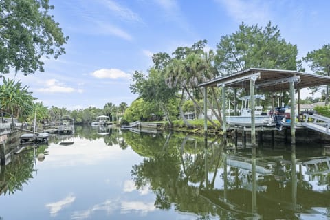 See manatees and porpoises from the floating dock in the backyard