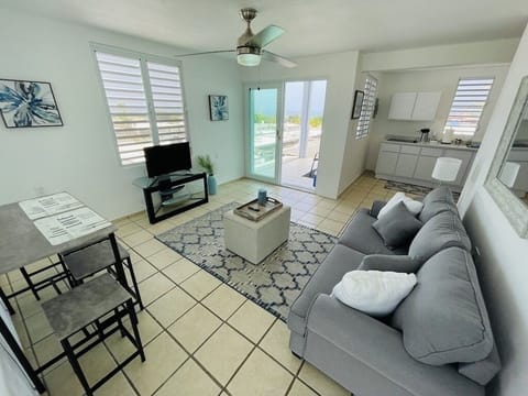 Ceiling fan and AC unit in the living room.

