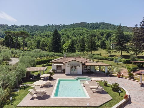 Sky, Plant, Water, Property, Nature, Tree, Land Lot, Swimming Pool, Natural Landscape, Grass