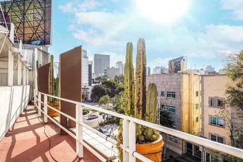 Sunlit views, open skies, and the vibrant energy of the city