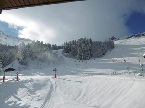 Snow and ski sports