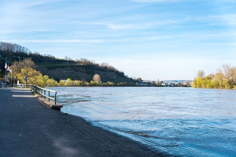 Mosel-Apartments-Koblenz, new building, upscale furnishings Apartment in Koblenz