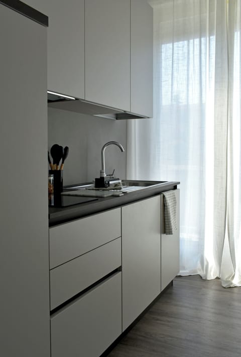 Fridge, stovetop, cookware/dishes/utensils