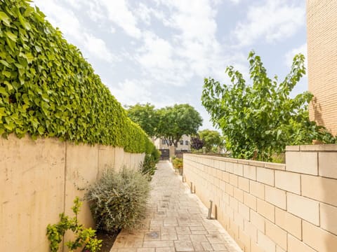 Plant, Cloud, Sky, Property, Nature, Leaf, Road Surface, Building, Vegetation, Tree