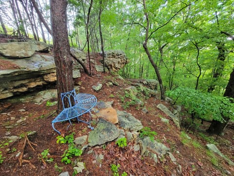 Seclueded and Serene sitting area in a quiet wooded area.