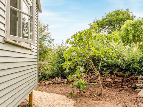 Exterior | Fig Tree Shepherd&rsquo;s Hut, Bridport