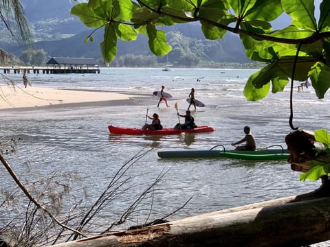 Hanalei River and Bay