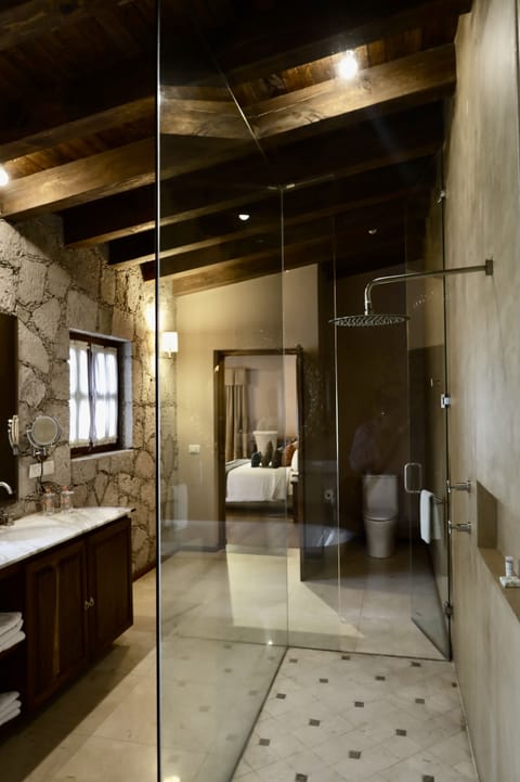 Combined shower/tub, rainfall showerhead, towels