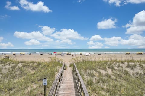 View of Carolina Beach