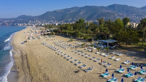 On the beach, sun loungers, beach umbrellas, beach bar