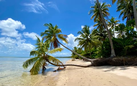 Beach nearby, white sand, free beach cabanas, sun loungers