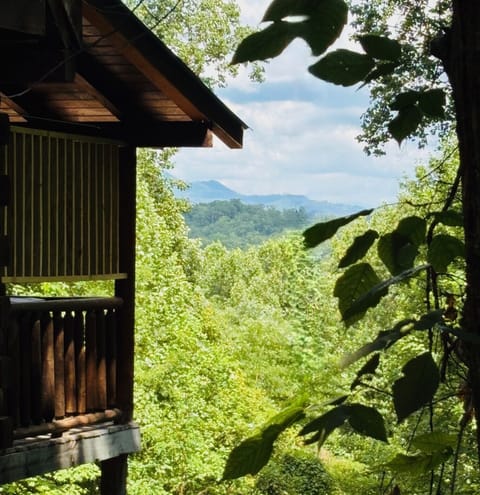 Mountain Views from the hot tub 