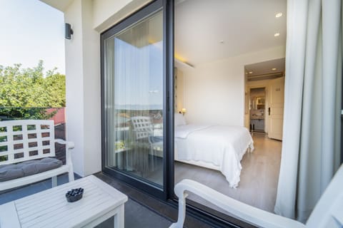 Deluxe Suit with Balcony | View from room