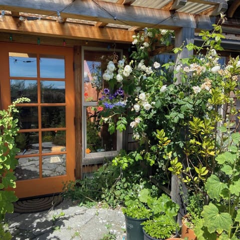 Outdoor patio and front door.