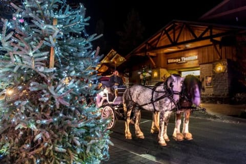 Experience riding in a carriage at Big Bear Lake Village