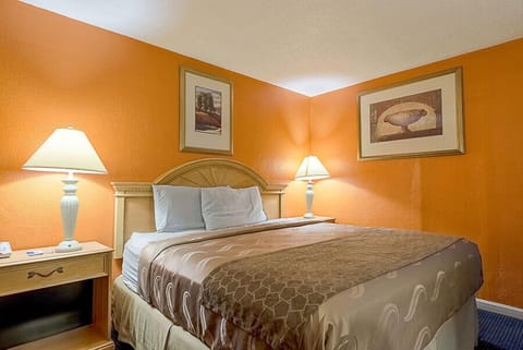 Standard Room, 1 King Bed, Smoking | Desk, free WiFi, bed sheets